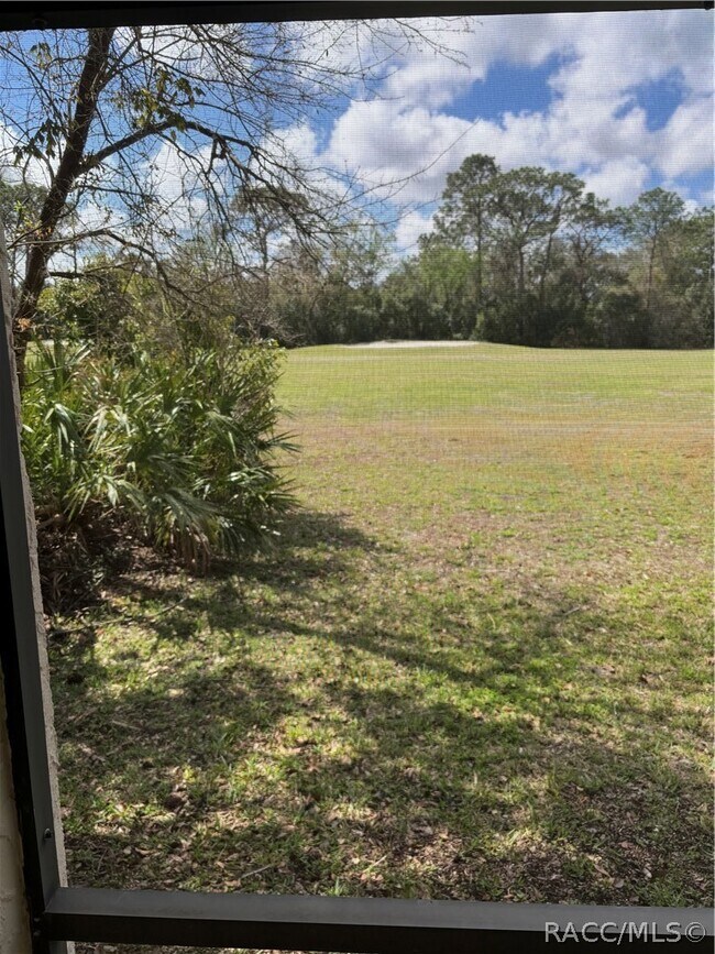 Building Photo - 57 Chinaberry Cir