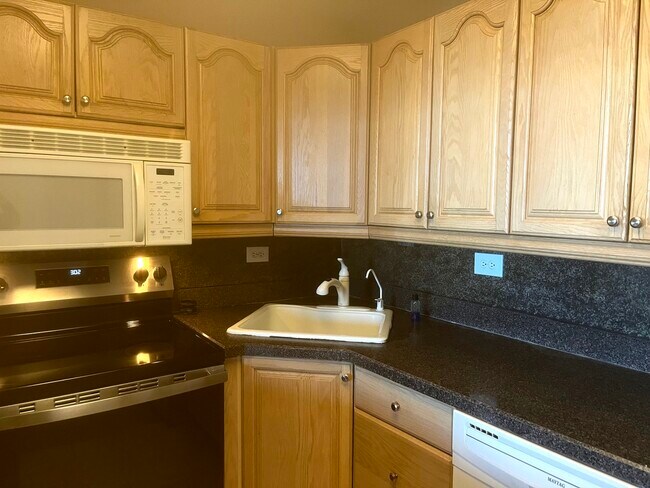 Building Photo - 1560 N Sandburg Terrace