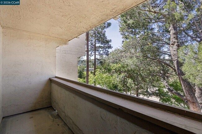 Building Photo - 1541 Moraga Way