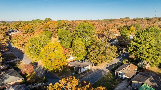 Building Photo - Midtown 3BR Near UAMS w/ Hardwoods, W/D, & Fenced Yard