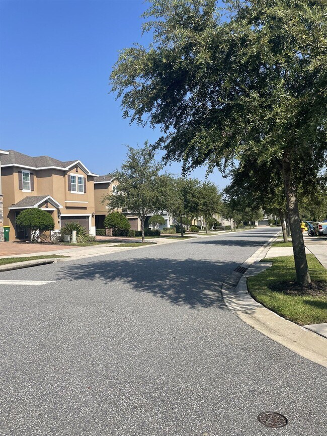 Building Photo - 551 Lasso Dr