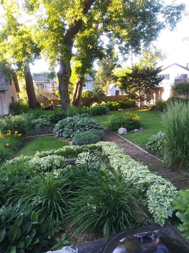 Side yard - 589 Marshall Ave
