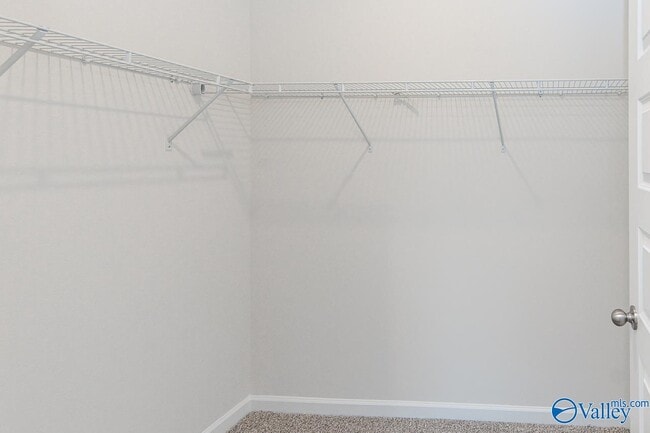 Building Photo - 231 Murphy Ln