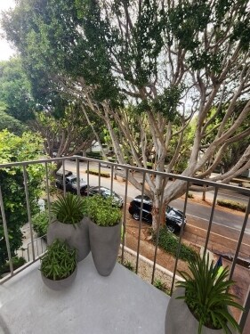 Interior Photo - 831 2nd Street