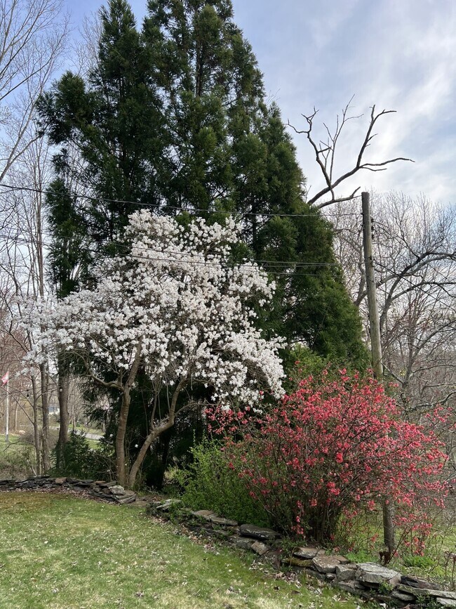 Building Photo - 106 Injun Hollow Rd