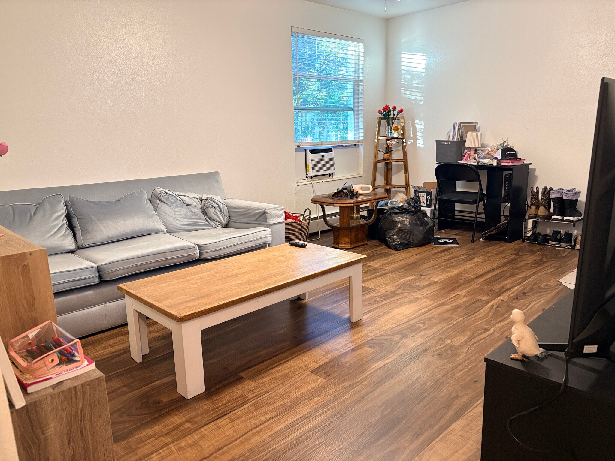 Living room - 375 W 550 N