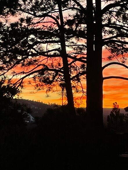 Building Photo - 1010 Fenway Dr