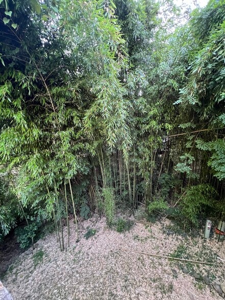 View from bedroom 1 - 130 E Longview St