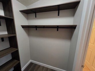 Master BR Walk-in closet - 8892 Eagleview Dr