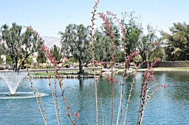 Building Photo - 40498 Bay Hill Way