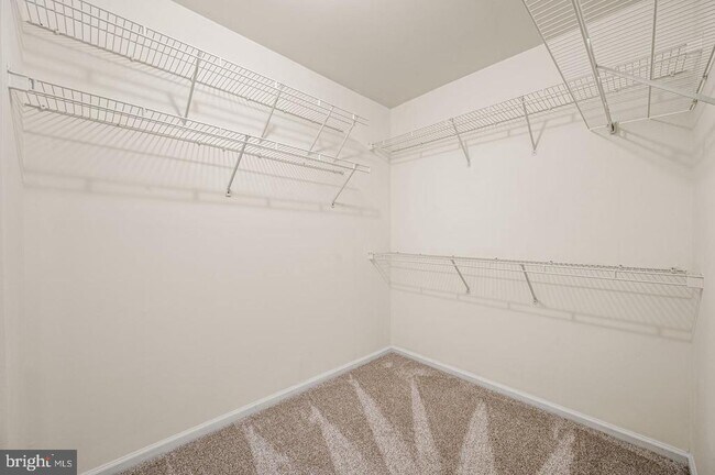 Building Photo - 713 Whitetail Cir