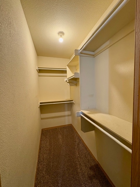 Building Photo - 786 Lariat St