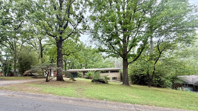 Building Photo - 102 Blueridge Pl