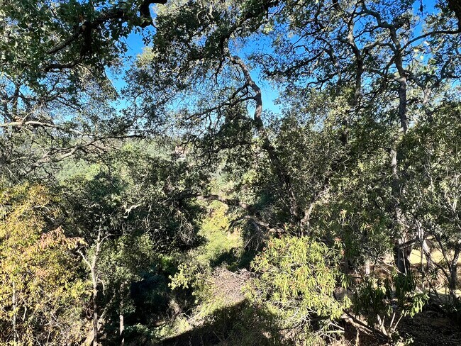 Building Photo - 4425 Las Encinitas Dr