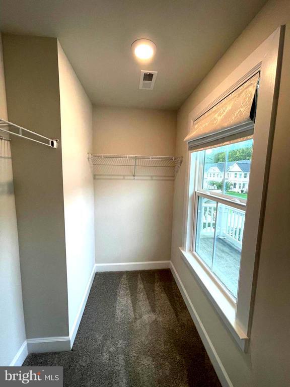 Building Photo - 33789 Freeport Dr