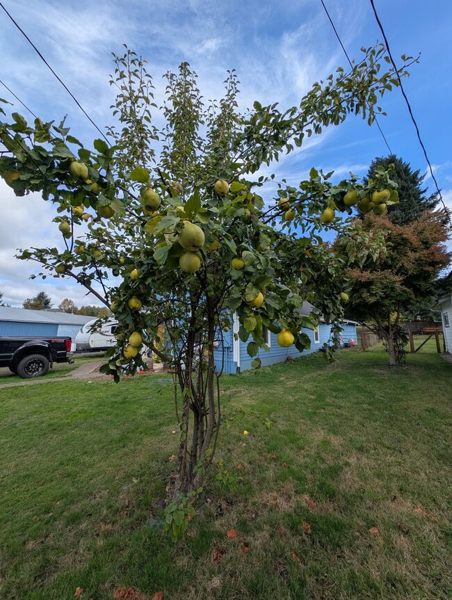 Building Photo - Adorable Four Bedroom w/ Fenced Yard Avail...