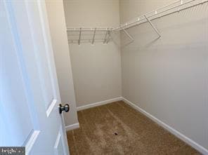 Building Photo - 116 FLAXEN MANE Ct