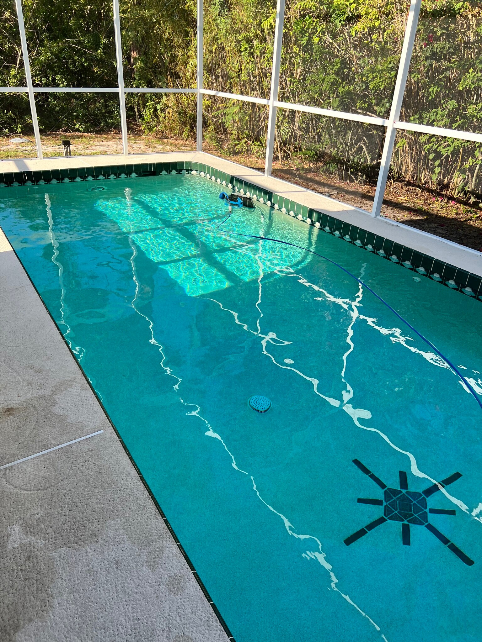 Heated/Chilled pool - 5780 Osprey Rd