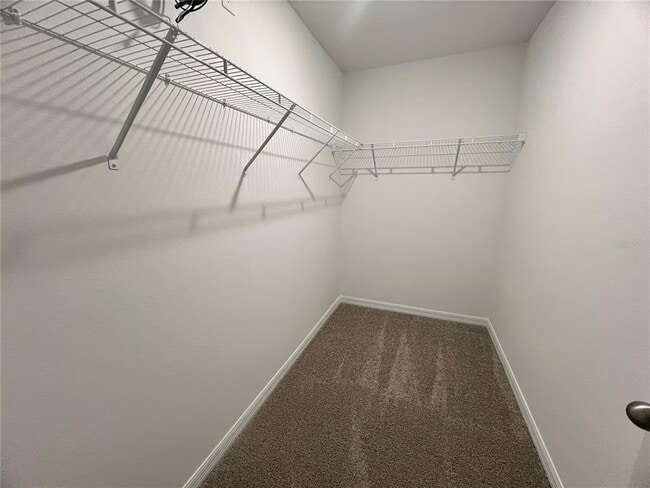 Building Photo - 2065 Crape Jasmine Ln