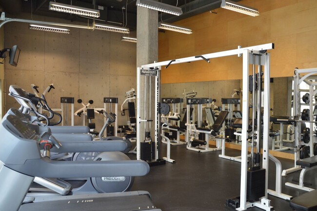 Building Photo - Amazing Capitol Hill Studio - GREAT DEAL!