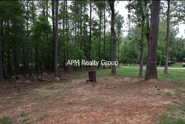 Building Photo - Private Country Feel Close to Downtown Chapin