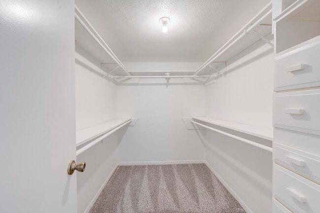 Building Photo - 42 N Timber Top Dr