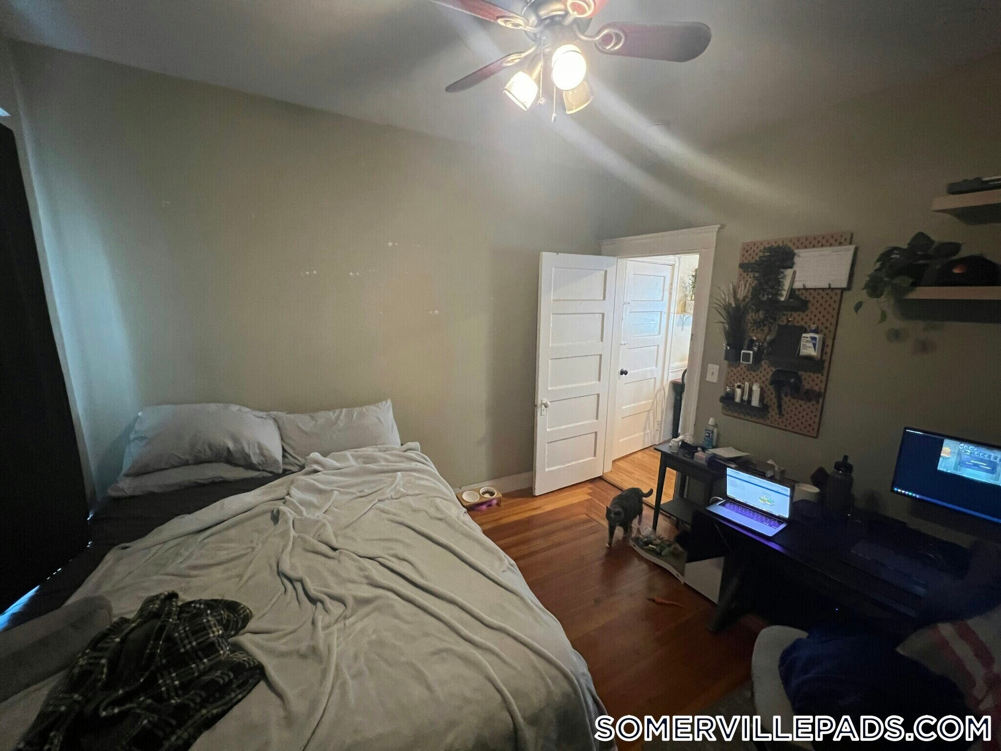 Building Photo - 294 Highland Ave