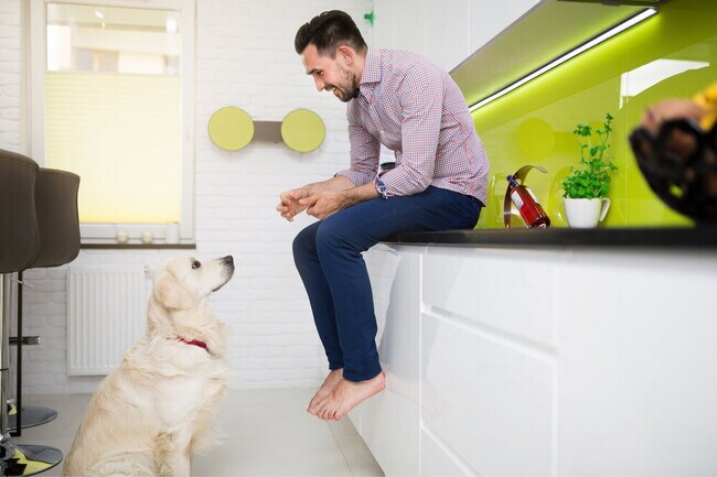 Building Photo - 13290 Shore Grass Dr