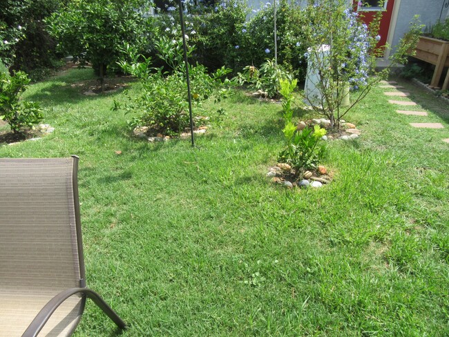 Shared Yard - 1810 Stearns Dr