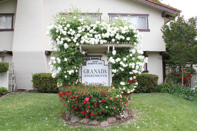 Primary Photo - Granada Apartments