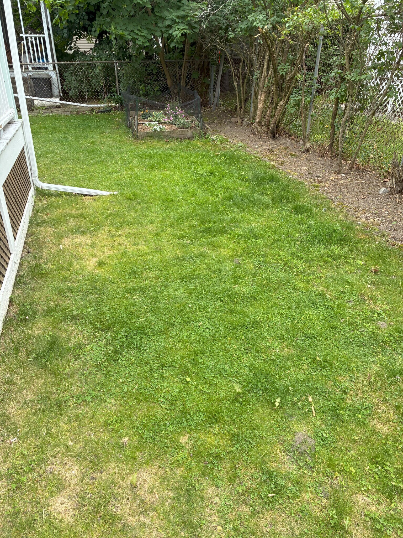 Yard - 27 Rose St