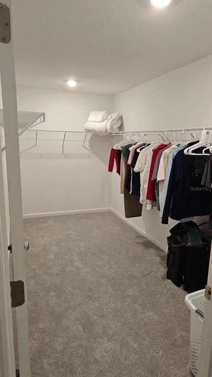 Building Photo - 2710 Pennachio Dr