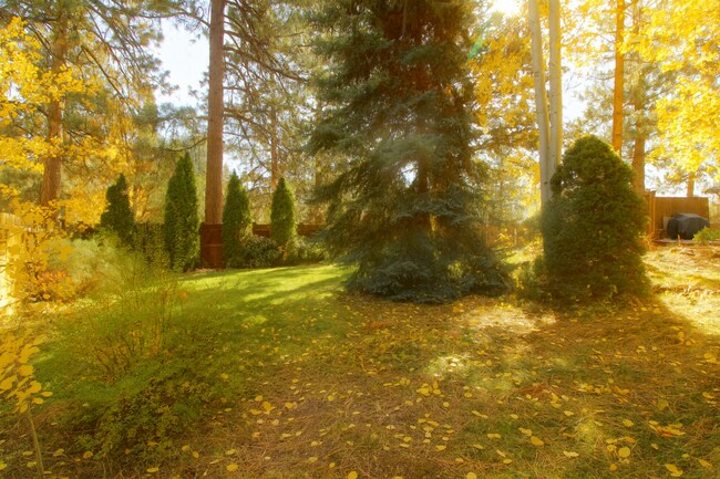 Building Photo - Spacious SW Bend Home on Nearly Half an Ac...