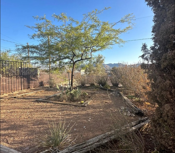 Backyard - 418 Fewel St