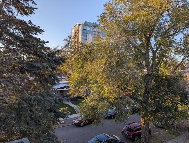 Building Photo - FABULOUS PEARL STREET CONDO IN SECURE BLDG...