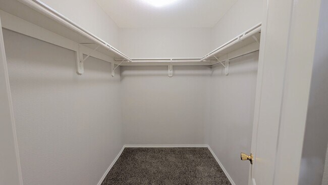 Building Photo - 3613 N Arroyo Park Ln
