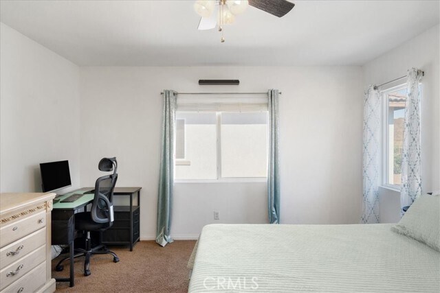 Building Photo - 34194 Ogrady Ct