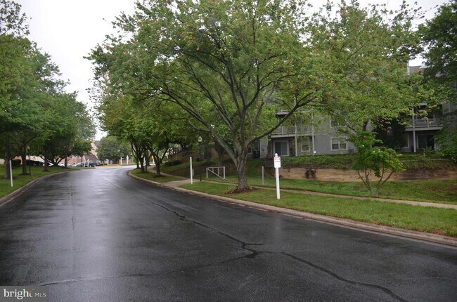 Building Photo - 1046 Spring Valley Ct