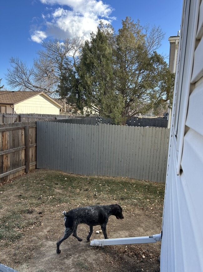 Building Photo - 678 Eagle Dr