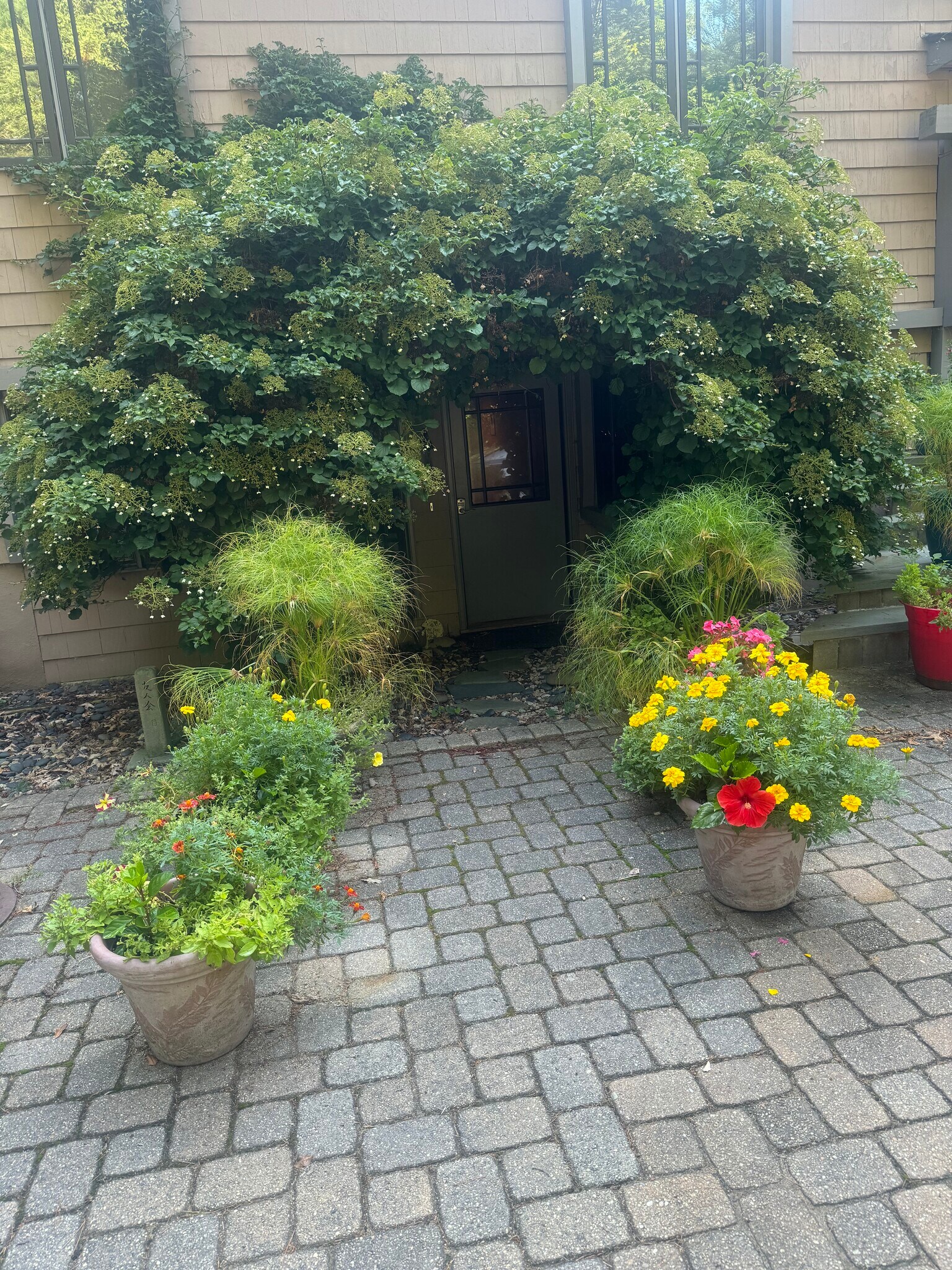 Quiet yard with flowers and organic veggie gardens - 270 Winter St