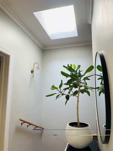 Skylight - 1618 S Washtenaw Ave
