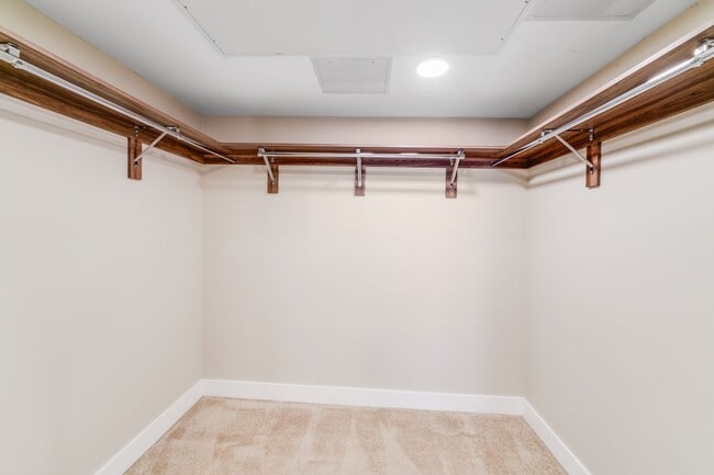 Building Photo - SouthEnd Luxury + Included Utilities (Gas,...