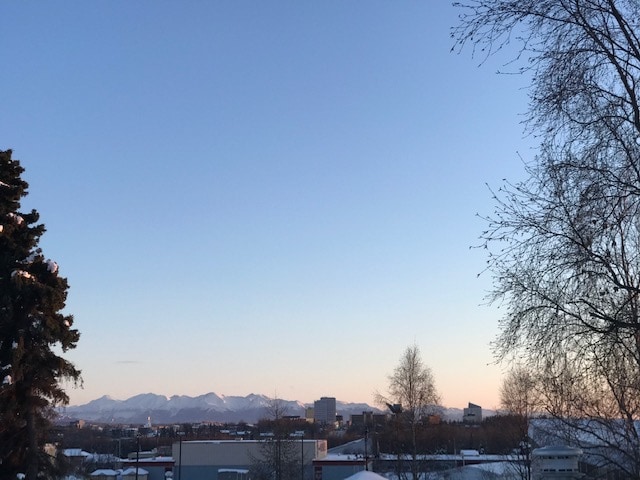 views from deck - 343 W 12th Ave