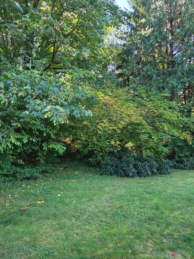 Building Photo - 25119 237th Ct Se