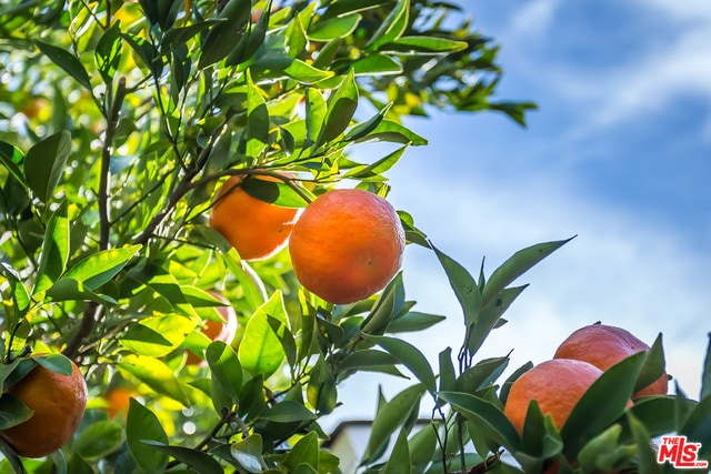 Building Photo - 9980 Braddock Dr