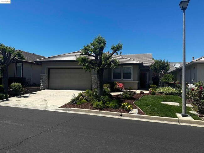 Building Photo - 575 Quindell Way