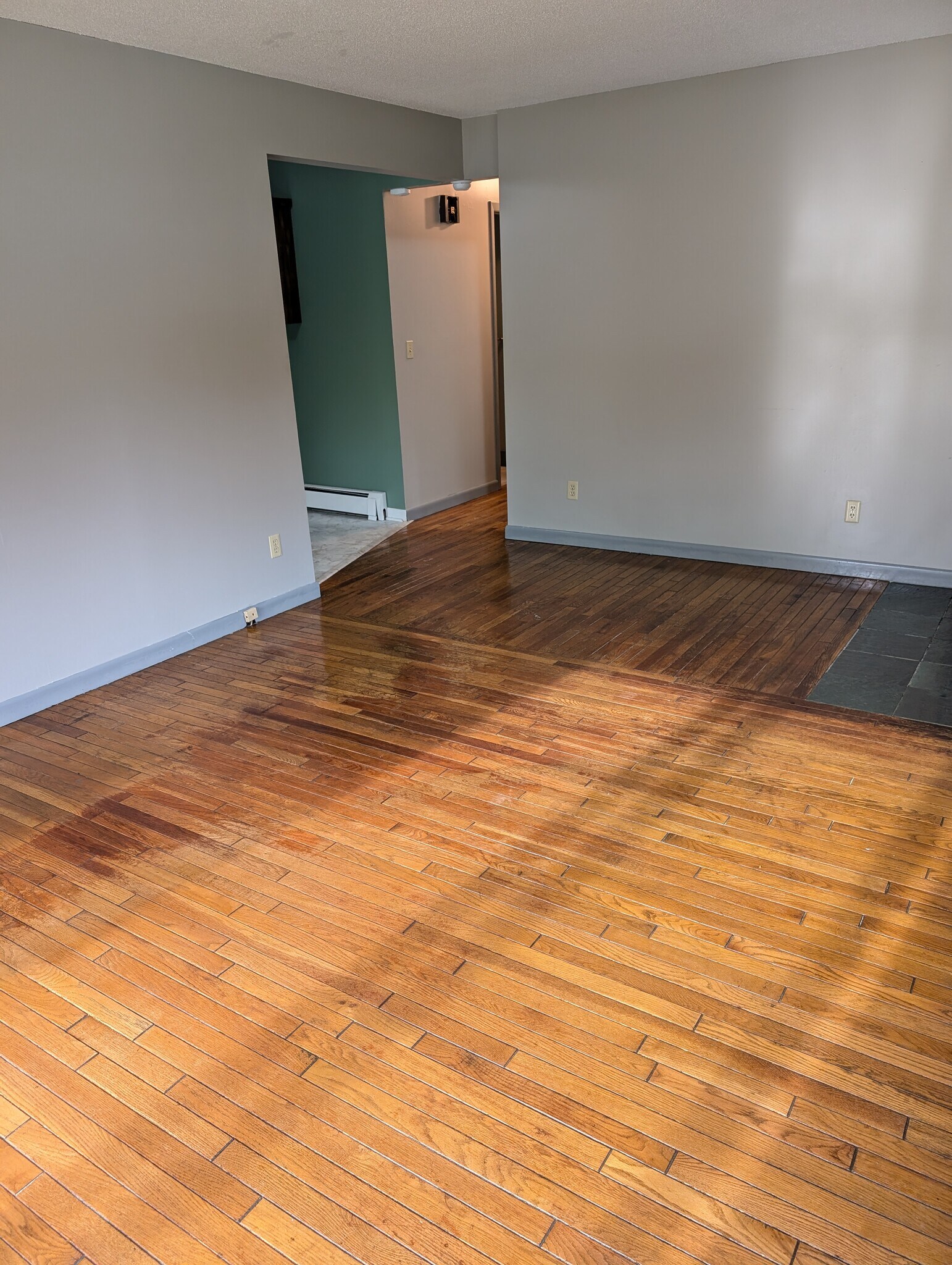 Main floor living room - 37 Sangamon Rd