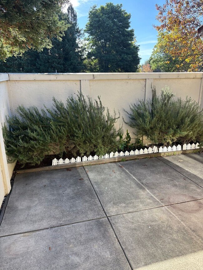 Building Photo - 244 Park Pl Dr