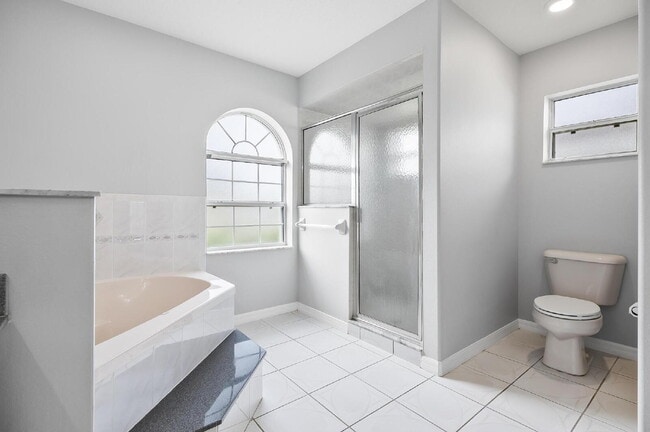 Building Photo - Palm Harbor Pool Home