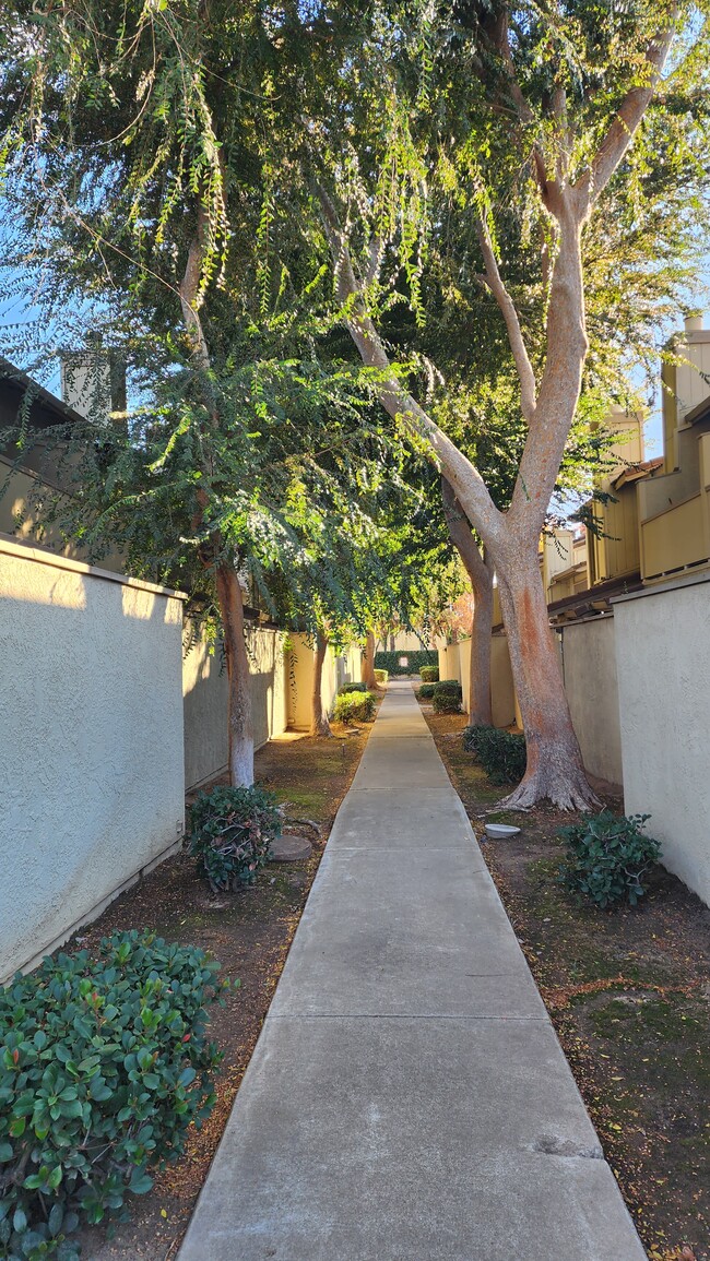 Building Photo - 2116 Mt Vernon Dr